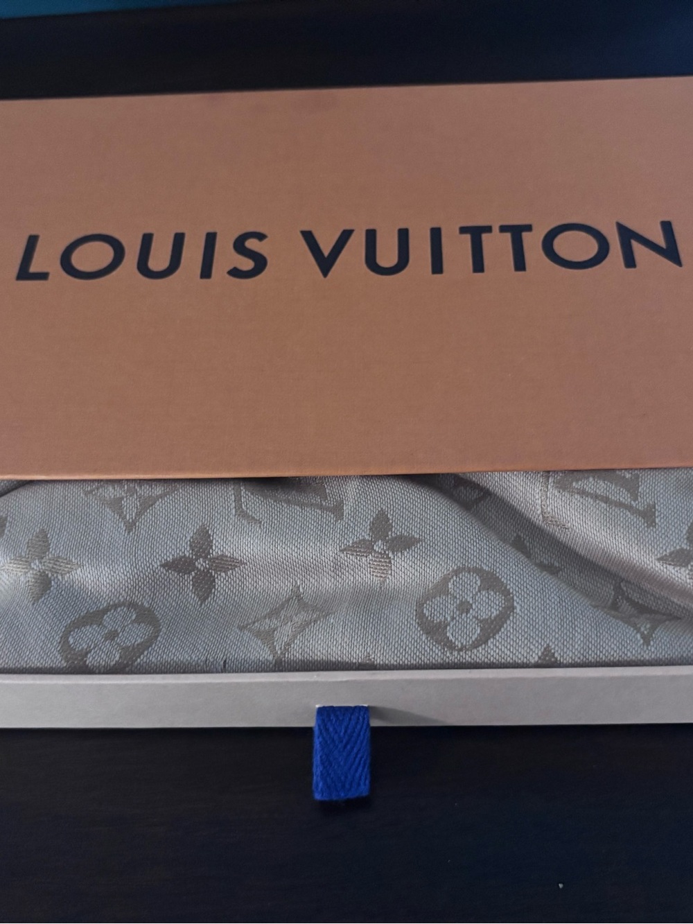 Louis Vuitton Men’s Monogram Scarf - Silver Taupe
